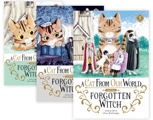 A Cat From Our World and the Forgotten Witch