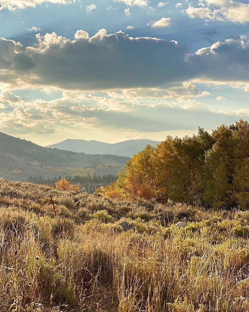  Photos by Tieghan Gerard1