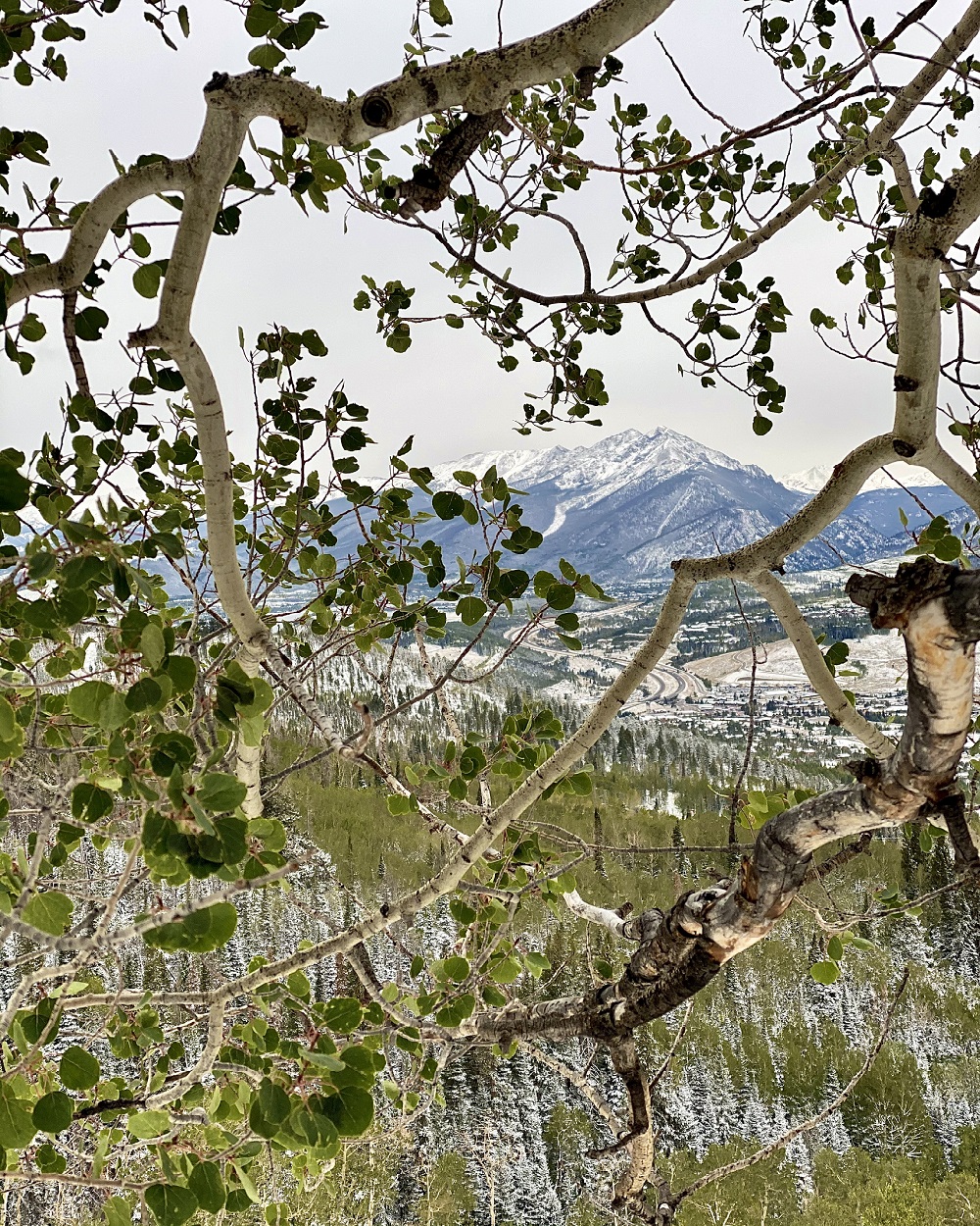  Photos by Tieghan Gerard1