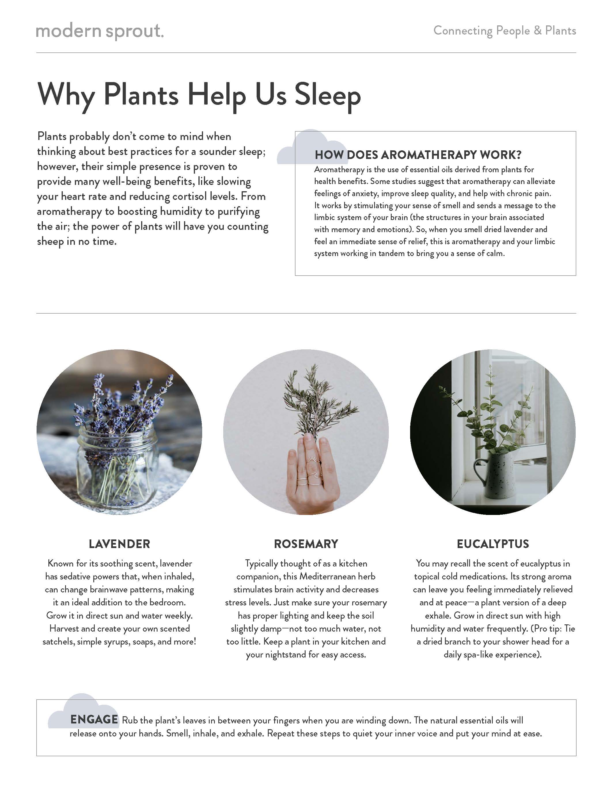 Click on the image to see a printable PDF. Credit: Modern Sprout1